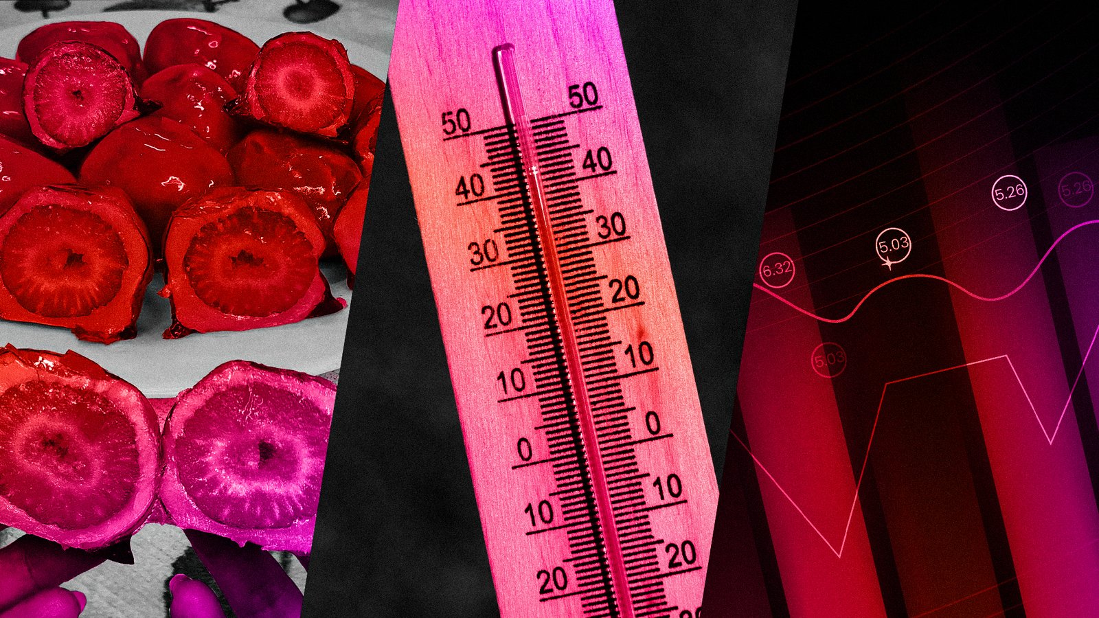 O Que Viralizou em Julho? Tendências e Insights Para Marcas Que Querem Crescer