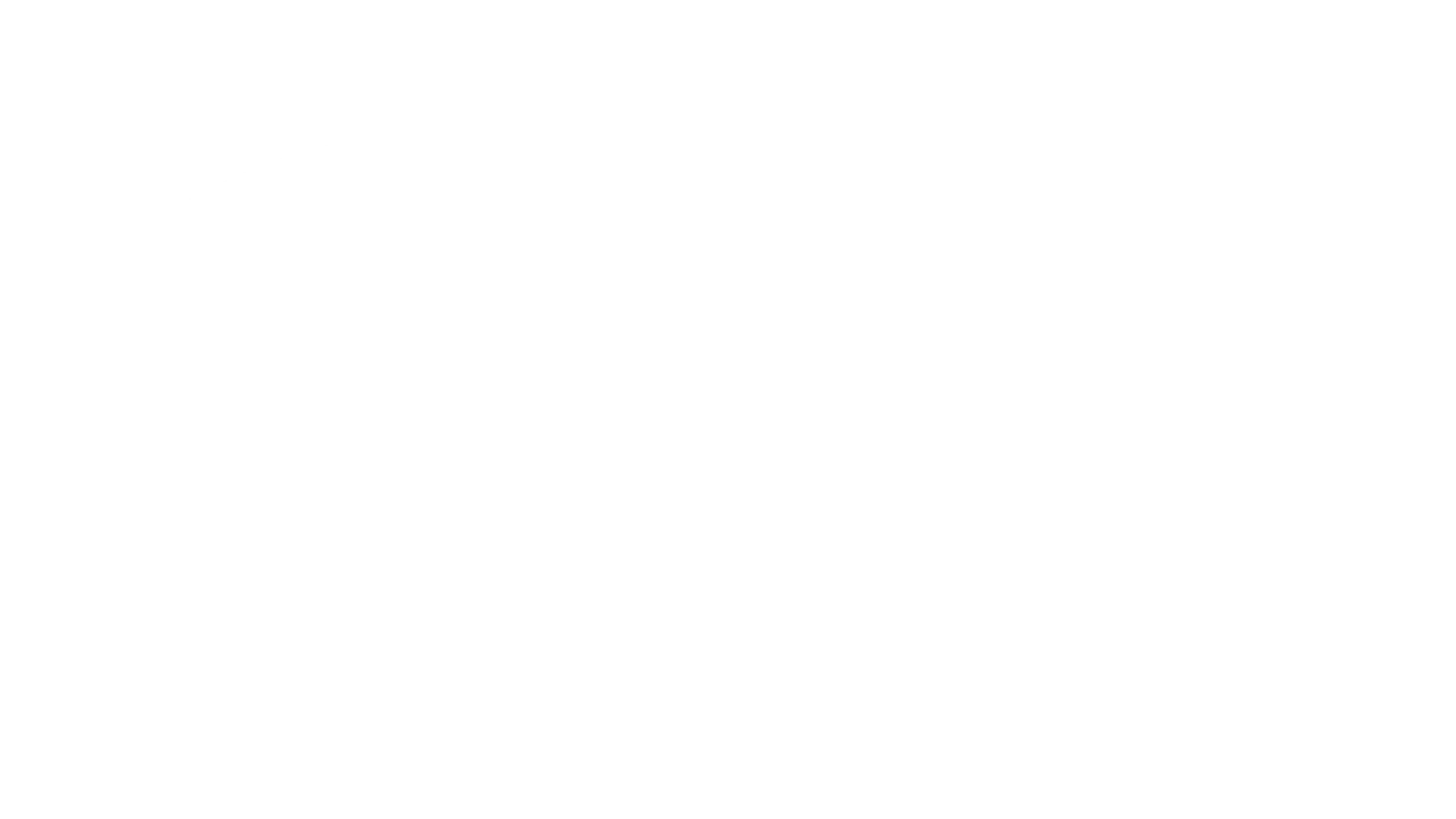 LOGO HORIZONTAL BRANCO